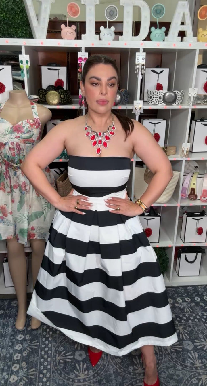 Vestido Negro y Blanco Rallas Midi Princesa (#186)
